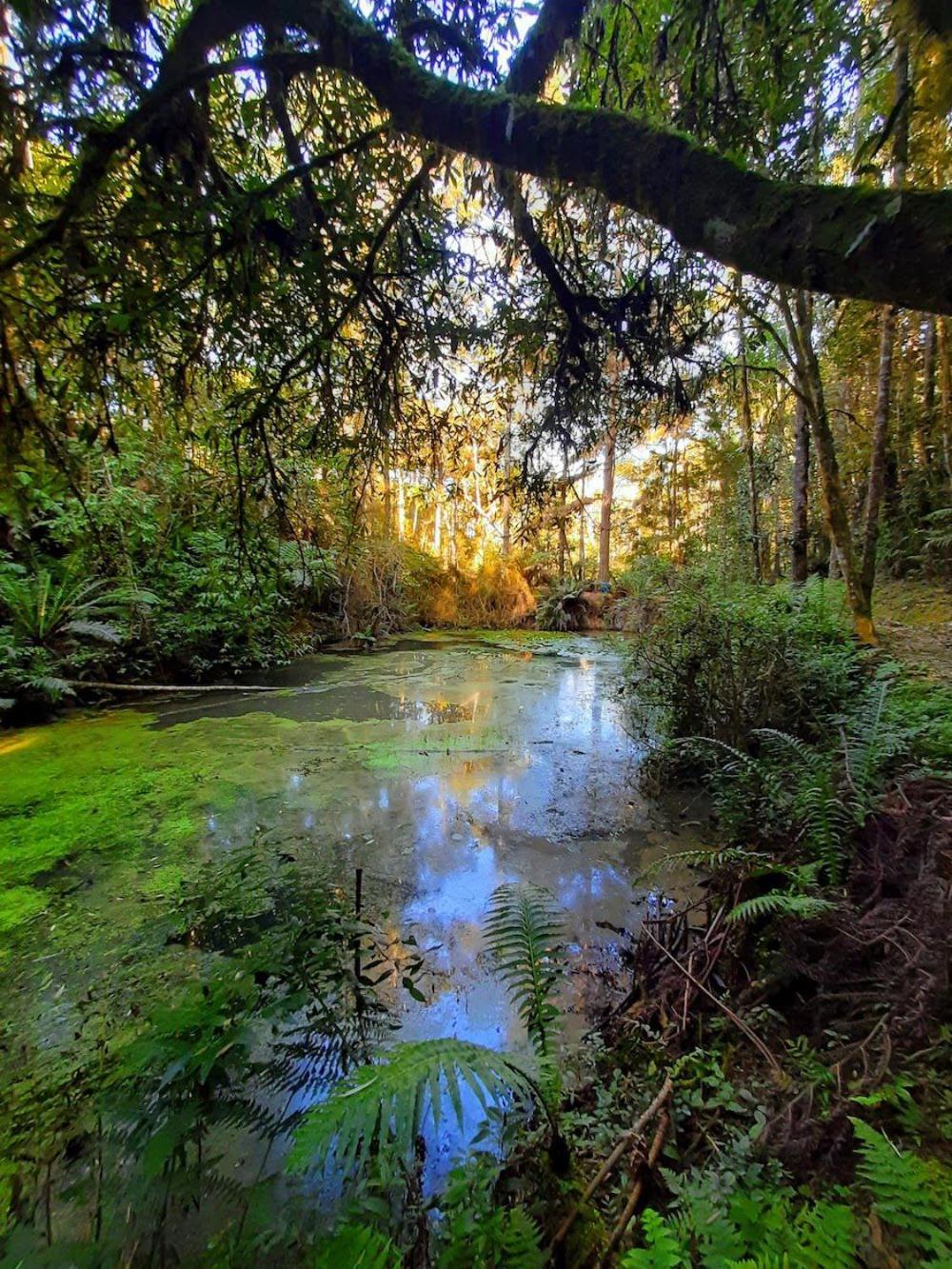 Recanto Paraiso Aventuras Rio Negrinho Eksteriør billede